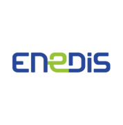 Logo Partenaire Jeux Paris Enedis