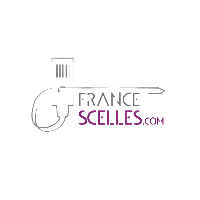 Logo Partenaire Jeux Paris France Scelles