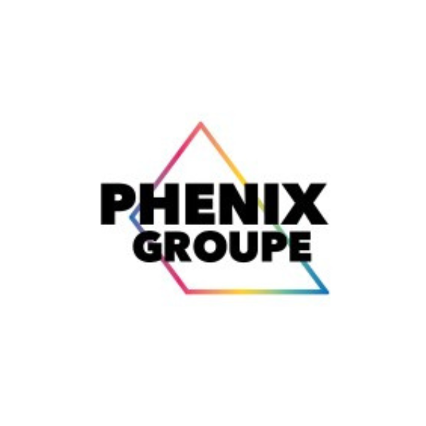 Logo Partenaire Mayotte Phenix Groupe